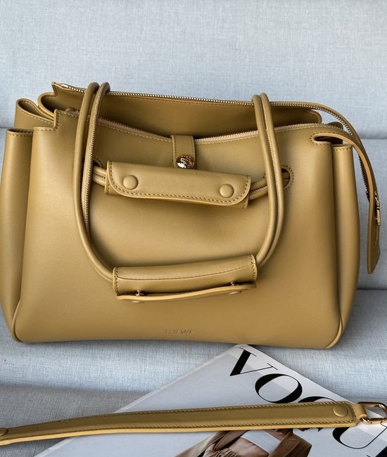 Loewe Madrid Soft Leather Gradient Handbag 7059