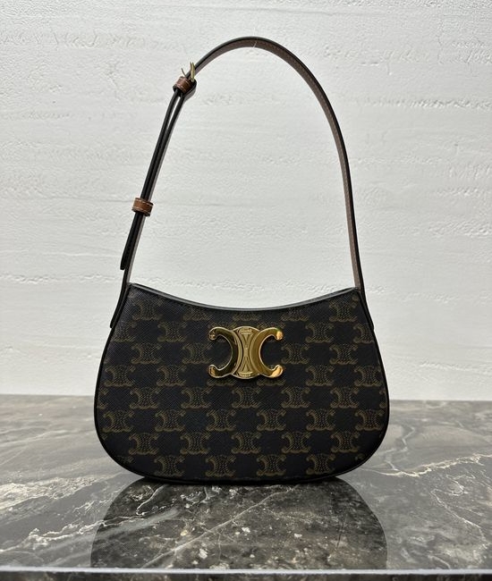 Celine TLLY Handbag Limited Edition with Steel Hardware 115703