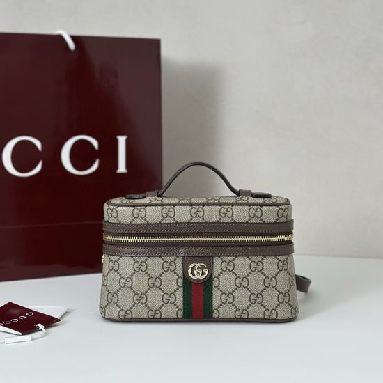 Gucci Premium Leather Brown Rubber Bag 838491