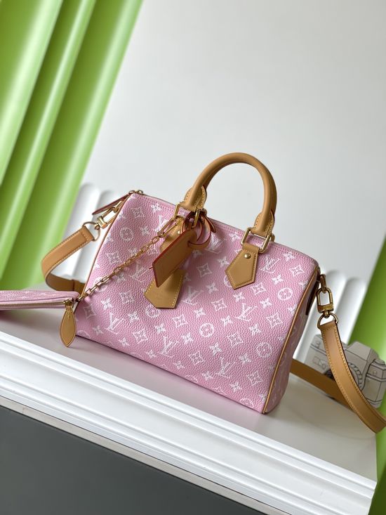 Louis Vuitton SPEEDY Full Leather Satchel Bag M13914