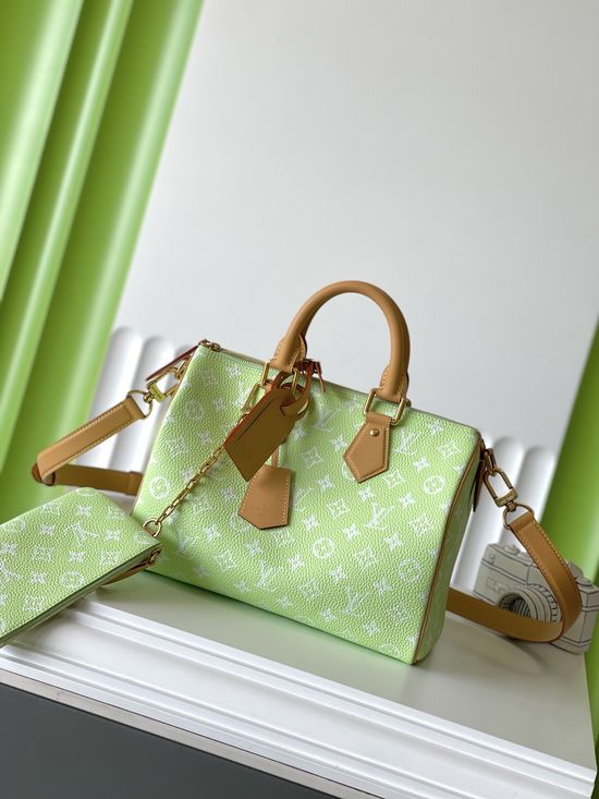 Louis Vuitton SPEEDY Full Leather Satchel Bag M14064