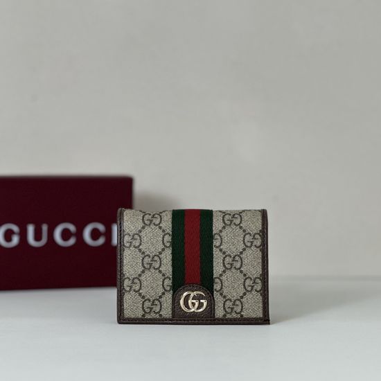 Gucci Mini Handbag Brown PVC 838487