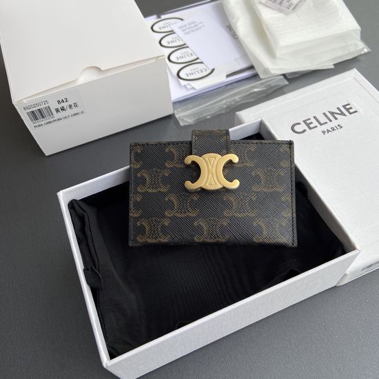 Celine ACCORDEON Card Holder 10N843GHH