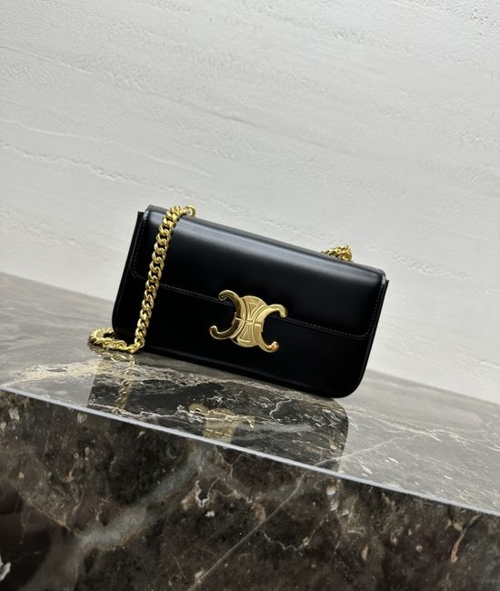 Celine TRIOMPHE CANVAS Chain Shoulder Bag Leather 197993