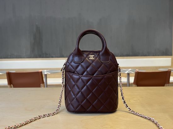 Chanel 25A Metier d Art Shell Bag AP4842