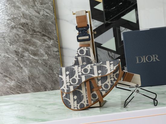 Dior Saddle Bag 1ADPO130ROM_H567