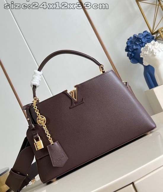 Louis Vuitton LV Capucines Souple Medium Handbag 16401