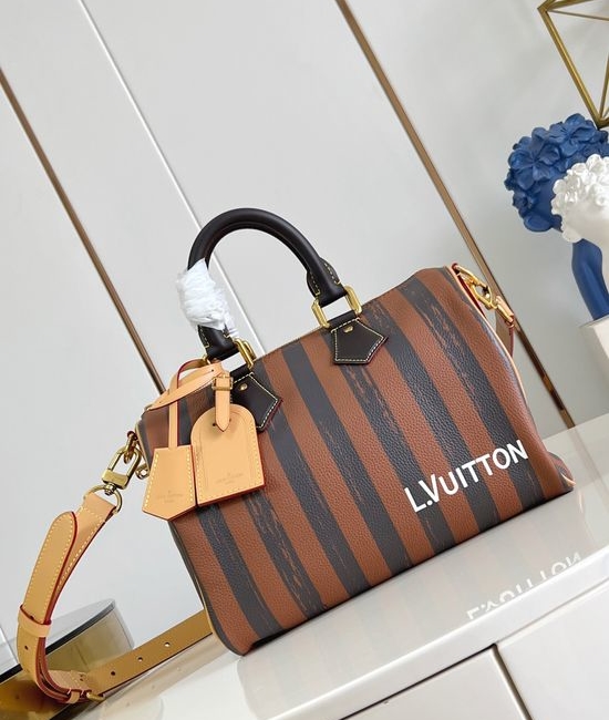 Louis Vuitton LV Speedy Soft 30 Crafty Travel Bag