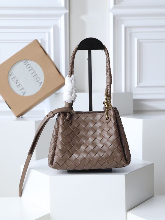 Bottega Veneta Andiamo Small Premium Handbag 796569