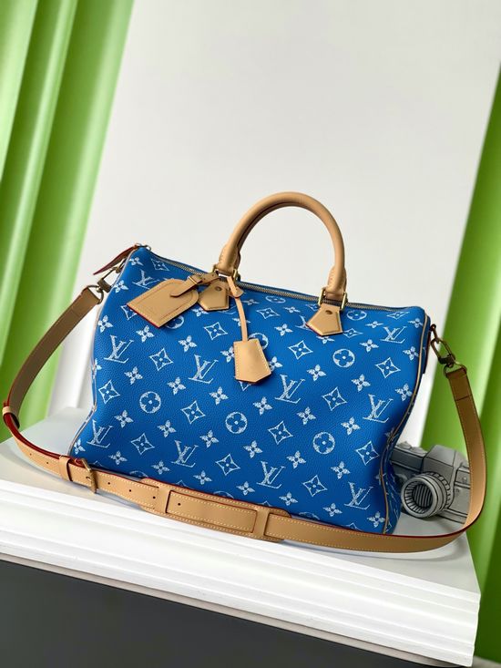 Louis Vuitton Speedy Leather Pillow Bag M24418
