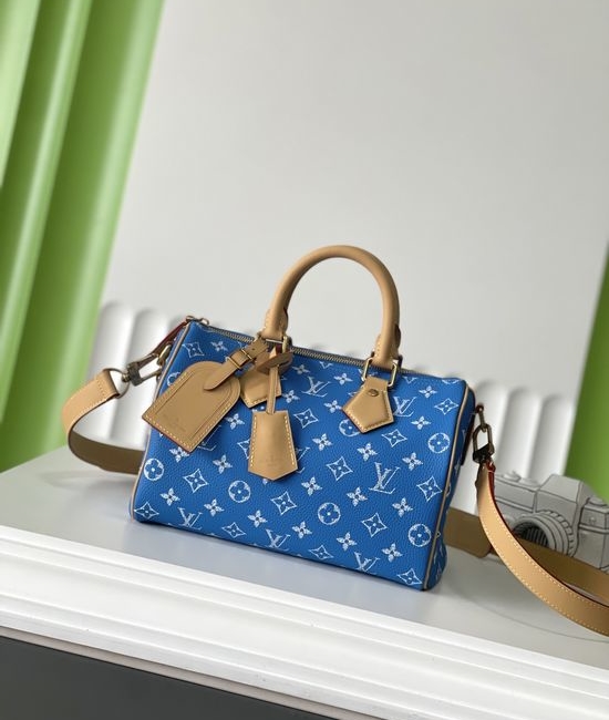 Louis Vuitton LV SPEEDY Leather Handbag M24424