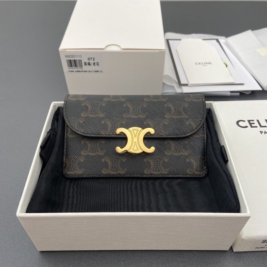 Celine Triomphe Printed Flap Card Holder 10P072CQH