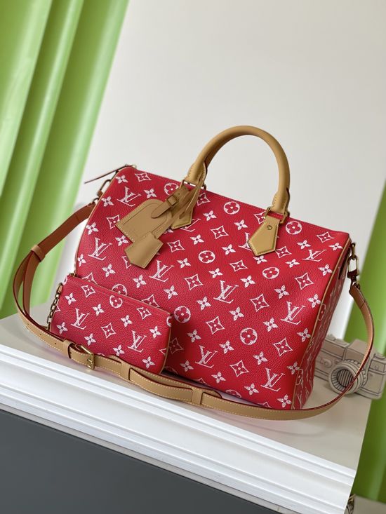 Louis Vuitton SPEEDY Full Leather Travel Bag M24420