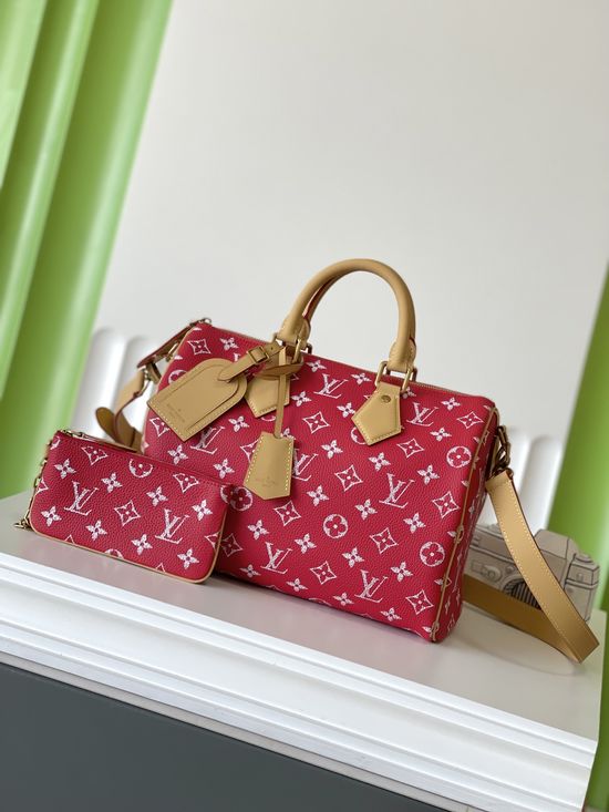 Louis Vuitton SPEEDY Full Leather Handheld Bag M14067