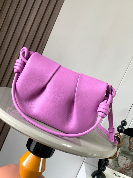 Loewe Paseo Shiny Nappa Leather Crossbody Bag 9028