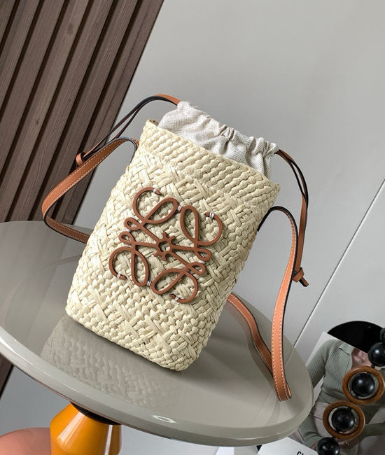 Loewe Anagram Woven Square Pouch 8009