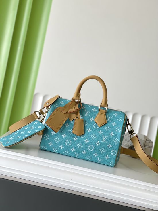 Louis Vuitton SPEEDY Blue Leather Handbag M11561