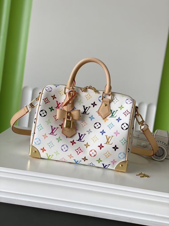 Louis Vuitton Speedy Multicolor White Handbag M13085