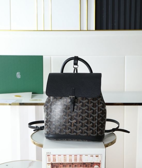 Goyard Aln Mini Backpack Versatile and Functional 11791