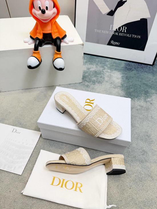 Christian Dior Embossed Pattern Lace Mid Heel Slide Sandals with Embroidery