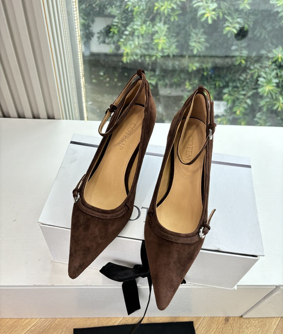 Cotem Pointed Toe Ankle Strap Stiletto High Heel Shoes