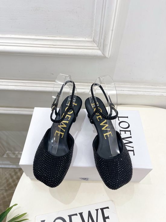 Loewe Rhinestone Decor Ballet Flats Elegant Multi Heel Height Footwear