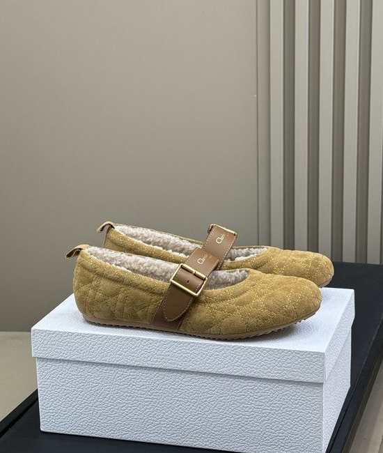 Christian Dior CD Fuzzy Lined Suede Embroidered Warm Casual Shoes