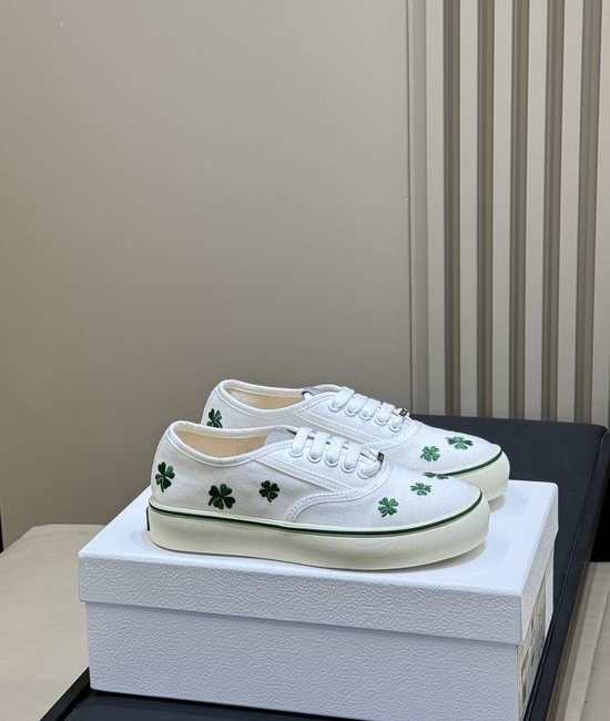 Christian Dior CD Classic Low Top Lace Up Canvas Daily Shoes