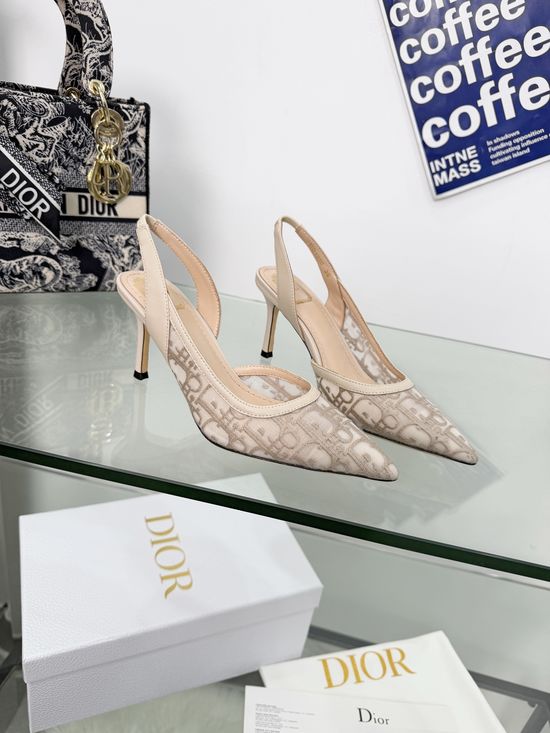 Christian Dior High-Heeled Pointed-Toe Shoes with Floral Embroidery