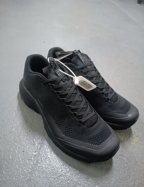 ArcTeryx FL Mesh Outdoor Shoes