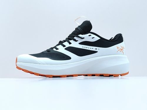ArcTeryx LD3 Panda High Quality Shoes