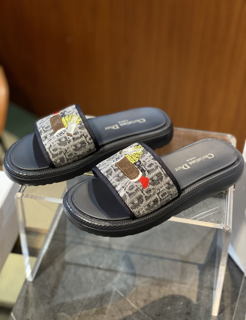 Christian Dior CD Pony Embroidered Oblique Pattern Slides