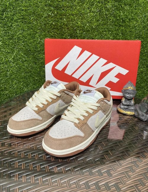 Nike SB Dunk White Brown Casual Shoes