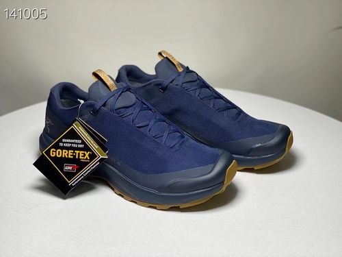 ArcTeryx Aerios FL GTX Waterproof Hiking Shoes