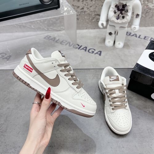 Nike SB Dunk Low Retro Skate Shoes
