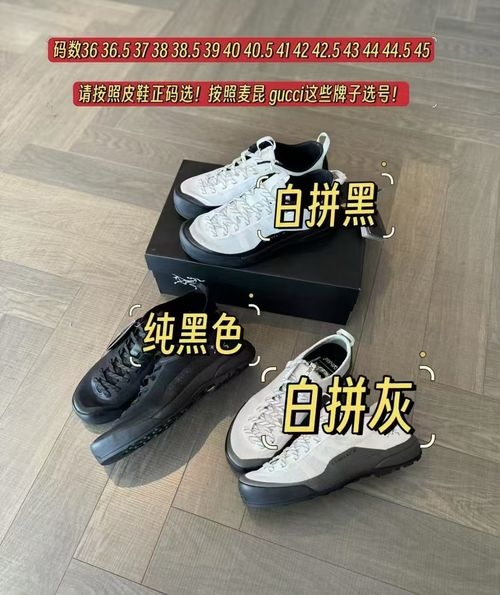 ArcTeryx LT White Black Casual Shoes