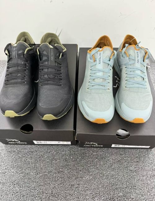 ArcTeryx Norvan SL 2 Khaki Shoes