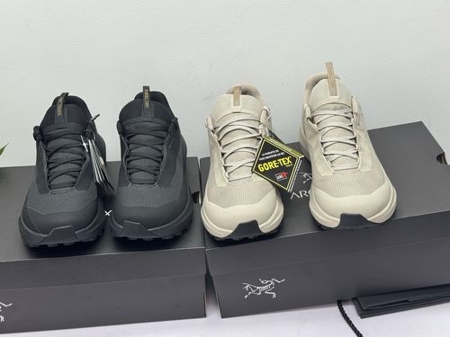 ArcTeryx LD4 Lightweight Waterproof Outdoor Casual Shoes