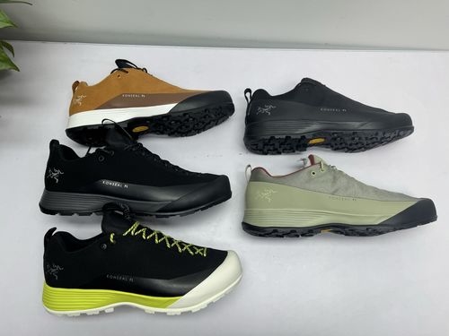 ArcTeryx FL 2 Suede Brown Shoes
