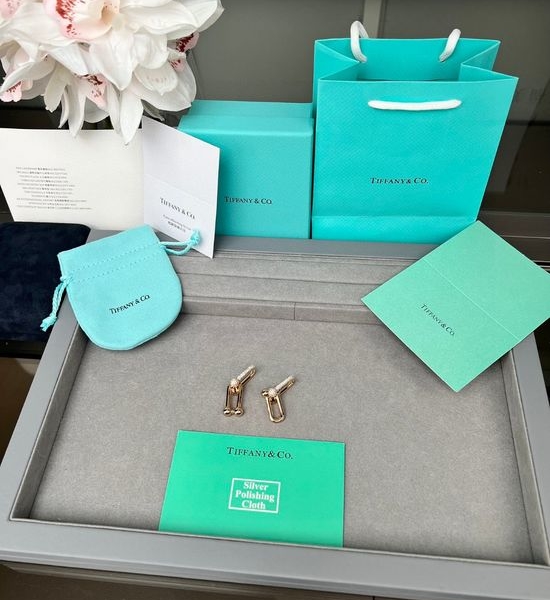 Tiffany & Co. Large Link Chain V-Gold Earrings