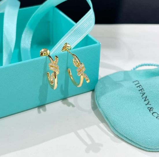 Tiffany & Co. Knot Twisted Round Polished Stud Earrings