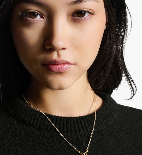 Louis Vuitton LV Crystal Heart Pendant Adjustable Necklace