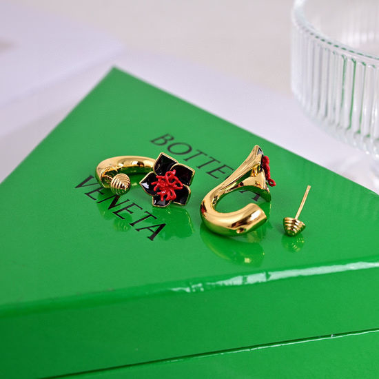 Bottega Veneta BV Unique Design Fashion Drop Earrings