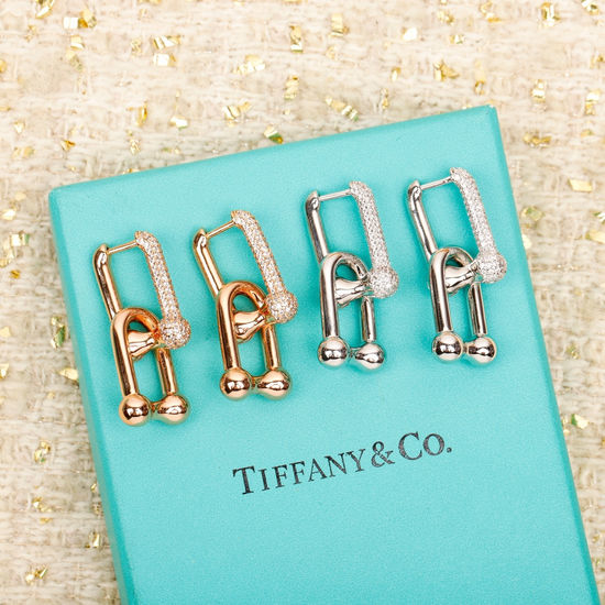 Tiffany & Co. Dual Hoop Earrings