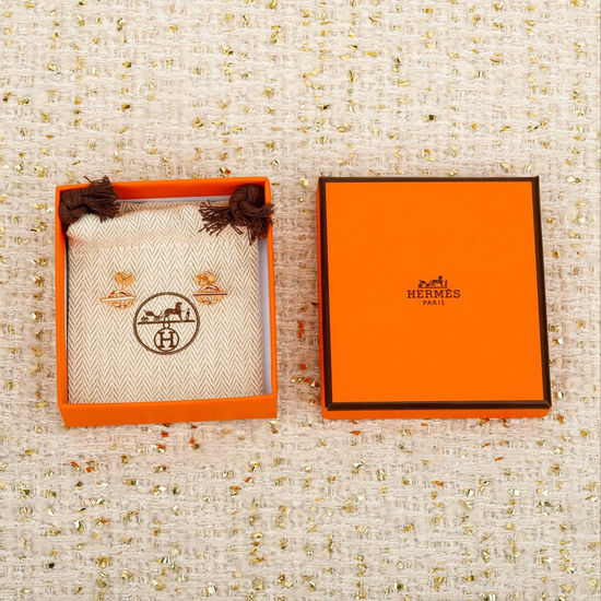Hermes Minimalist Stylish Pig Nose Shape Earrings
