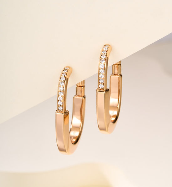 Tiffany & Co. Lock Shape Shiny Dangle Earrings