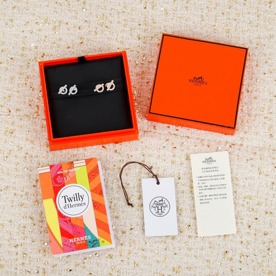 Hermes Minimalist Sparkling Cubic Zirconia Stud Earrings