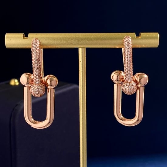 Tiffany & Co. Half Rhinestone Large Hoop Earrings