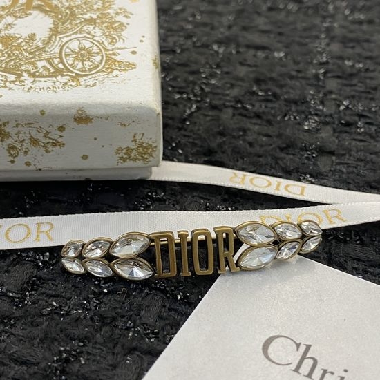 Christian Dior CD Exquisite Brooch Clear Detail Design