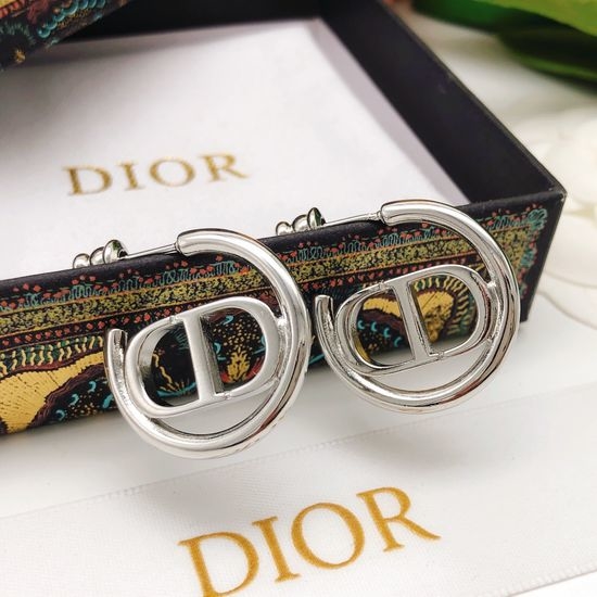 Christian Dior CD Silver Round Ear Hooks High Quality